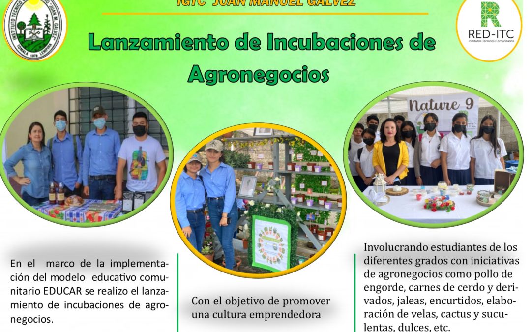 Lanzamiento Incubaciones de Agronegocios.