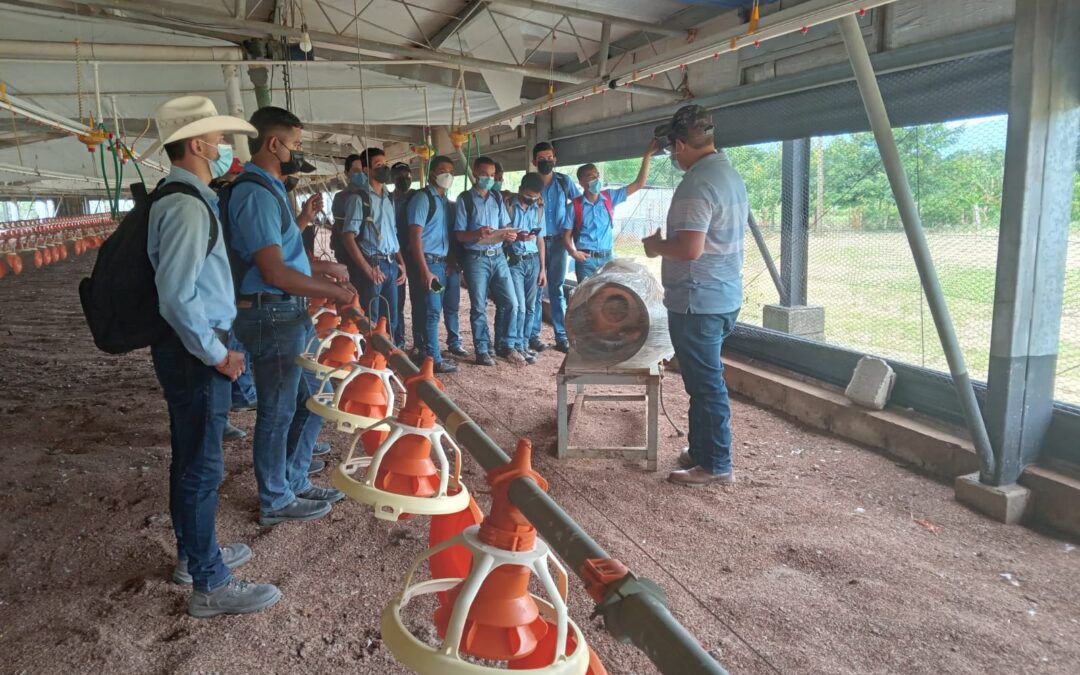 Gira educativa en la Granja Avícola Virrey