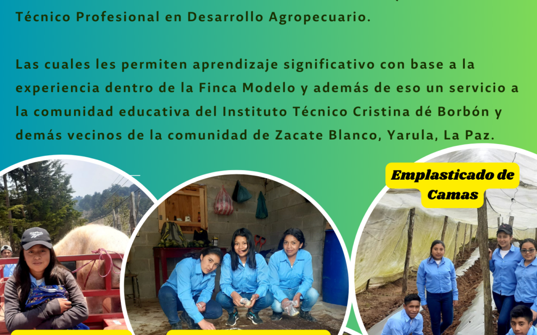 PRODUCCION AGRICOLA