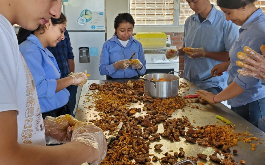 PRÁCTICAS DE PROCESAMIENTO EN LA ELABORACIÓN    DE CÚRCUMA EN POLVO