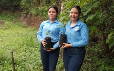 Estudiantes realizan la actividad de reforestaciòn en diferentes lugares del municipio.