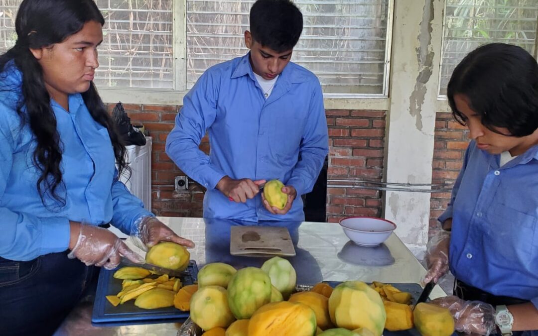 ELABORACION DE MERMELADA DE MANGO