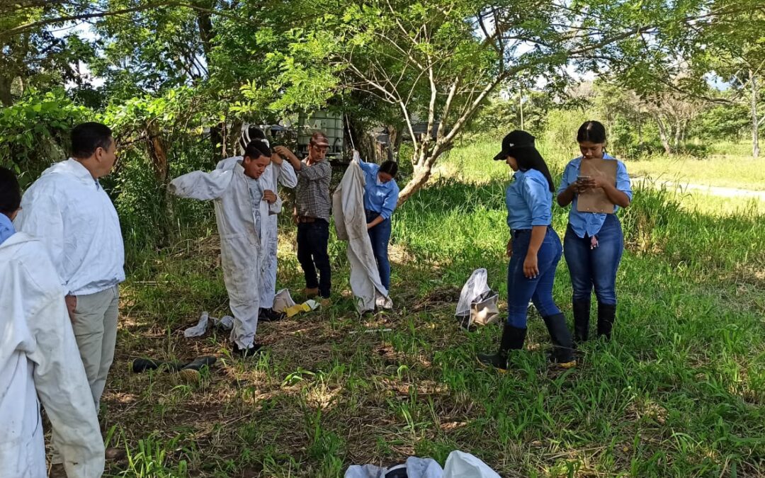 TALLER SOBRE APICULTURA