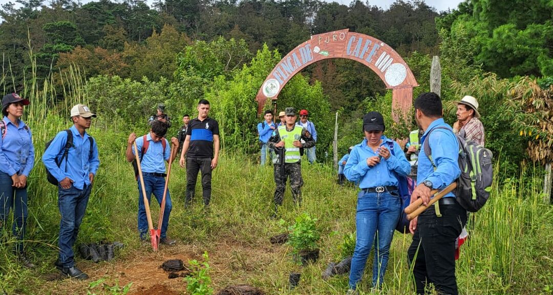 REFORESTACIÓN DE MICROCUENCA