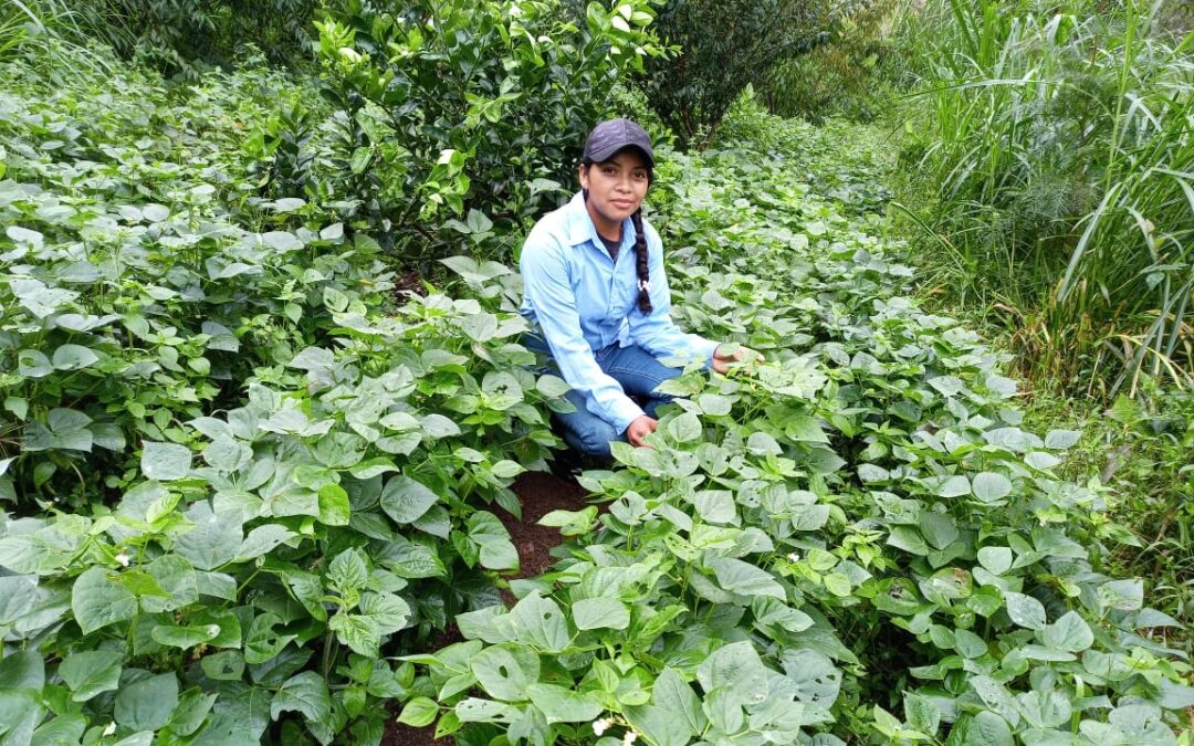 PARCELA AGROECOLÓGICA