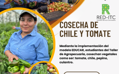 COSECHA DE CHILE Y TOMATE