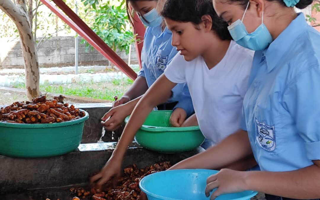 Actividad realizada con estudiantes del Ciclo Común Orientado a la Producción Agroforestal.