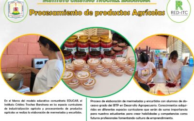 Procesamientos de Productos Agricolas
