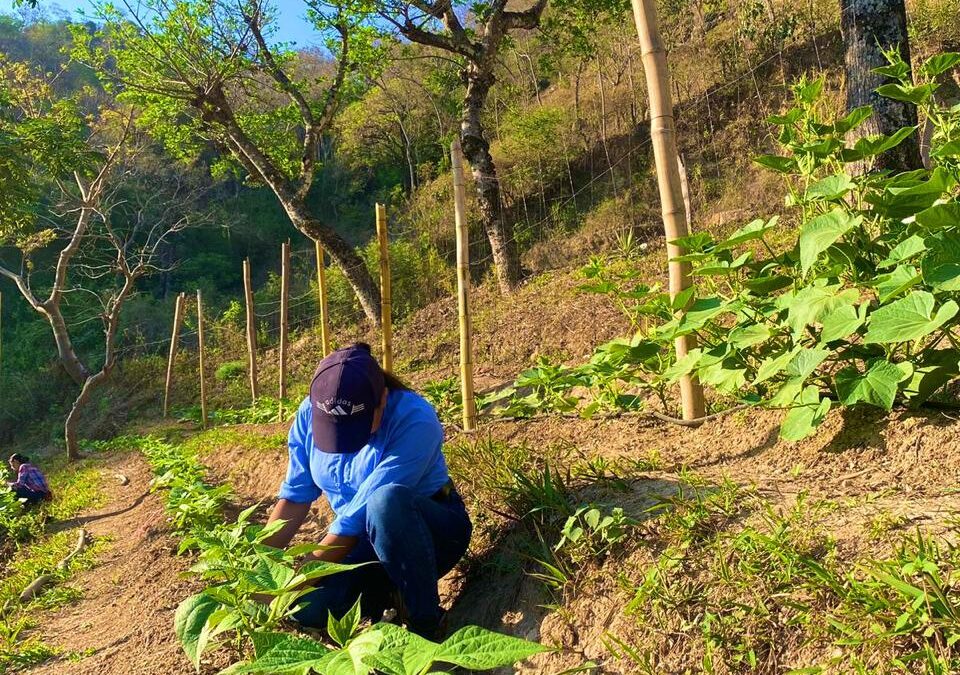 TRABAJO FINCA