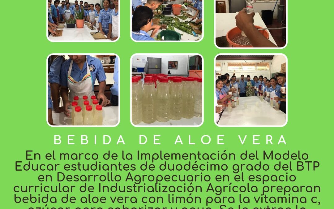 Boletín Informativo Industrialización Agrícola.