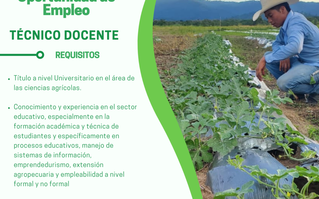 OPORTUNIDAD DE EMPLEO – TÉCNICO DOCENTE – CANDELARIA LEMPIRA