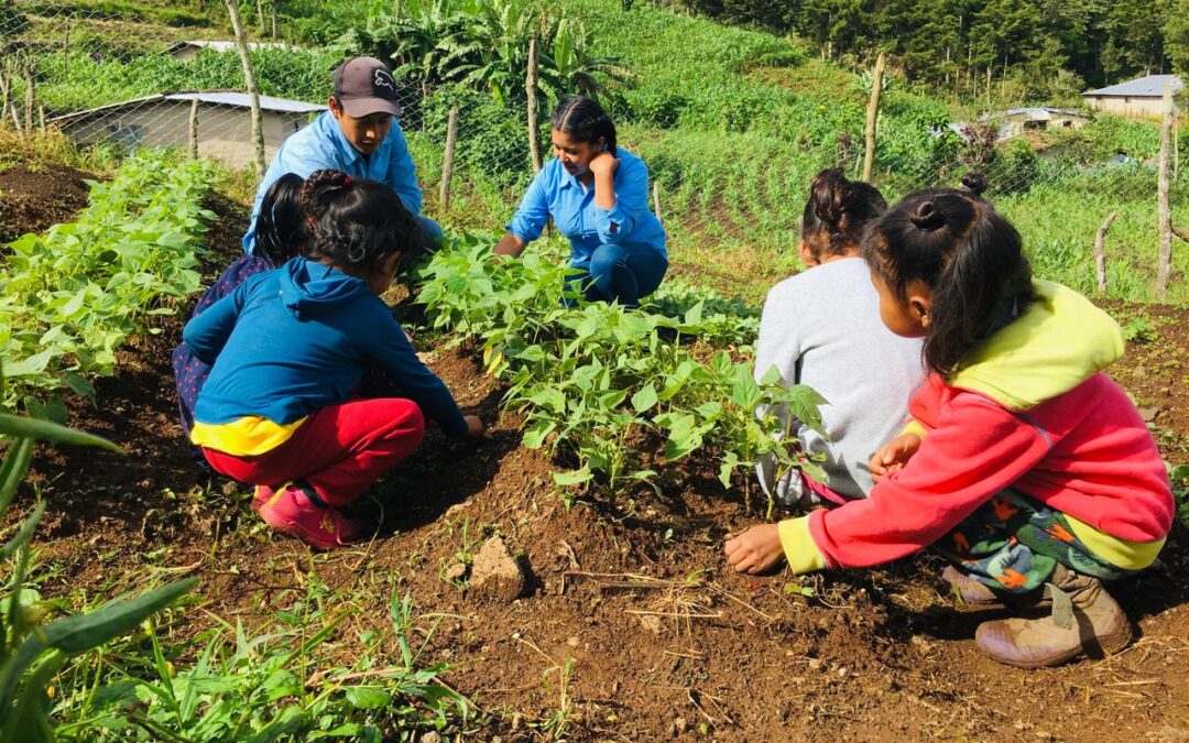 Jóvenes del Duodécimo grado del ITC Cristina de Borbón, dando seguimiento a la implementación de Huertos Escolares en las escuelas de las comunidades de Ciprés, Resbalón, Tierra Colorada y Zacate Blanco del municipio de Yarula, La Paz.