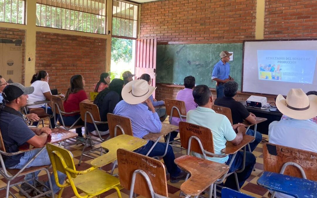 ANALISIS CADENA DE VALOR