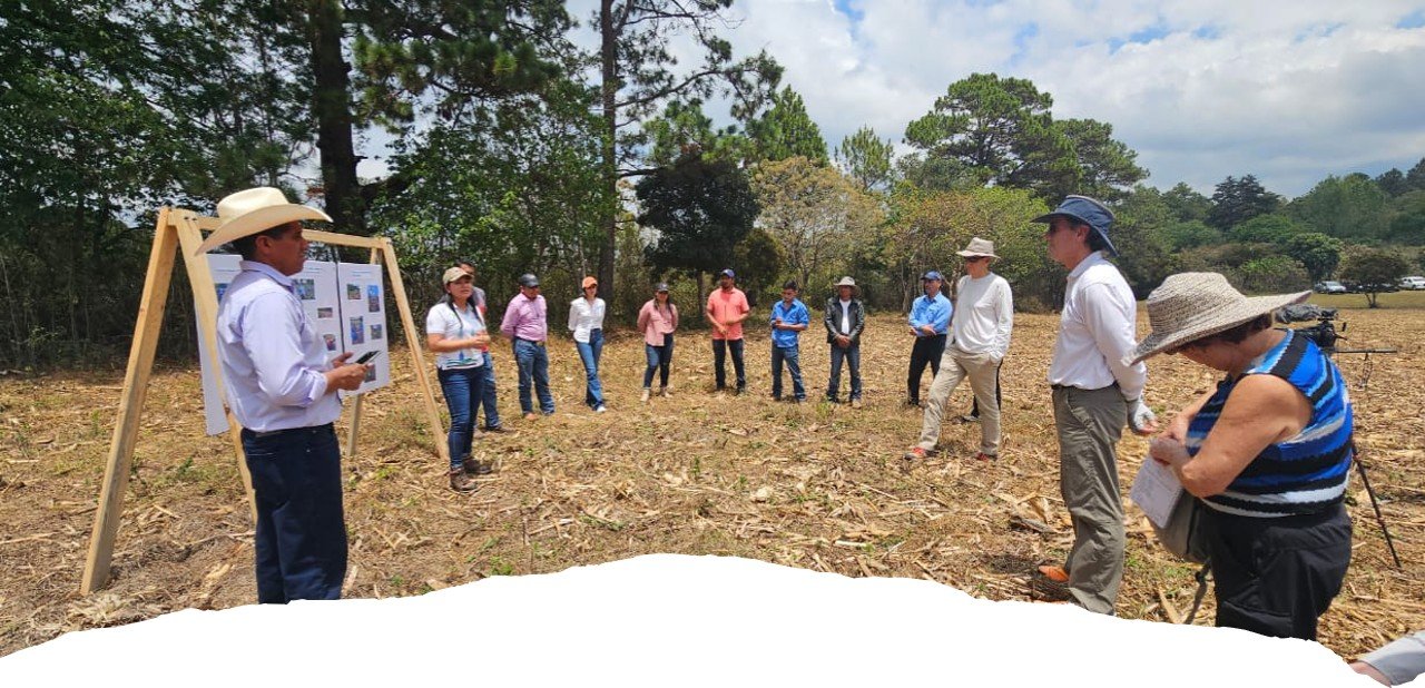 Imagen de agricultor