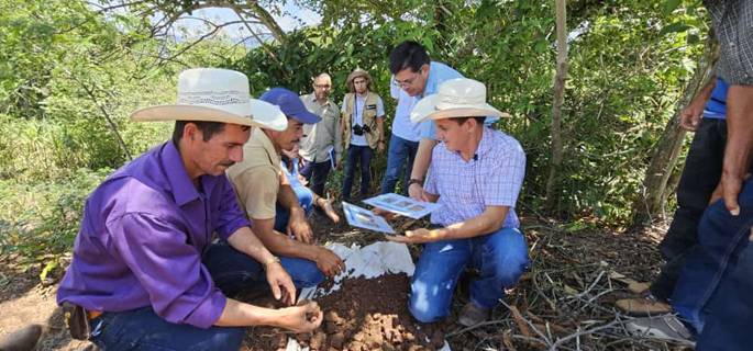 Productores atendidos