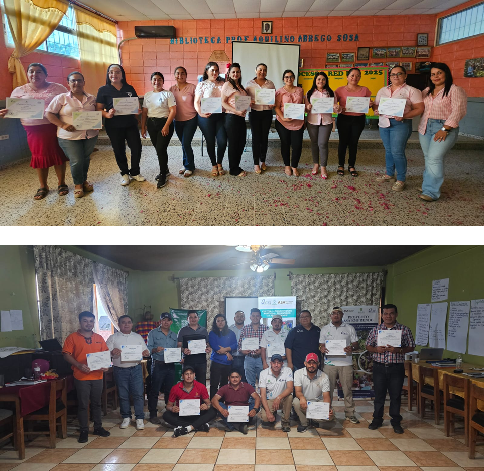 Actividades agrícolas saludables