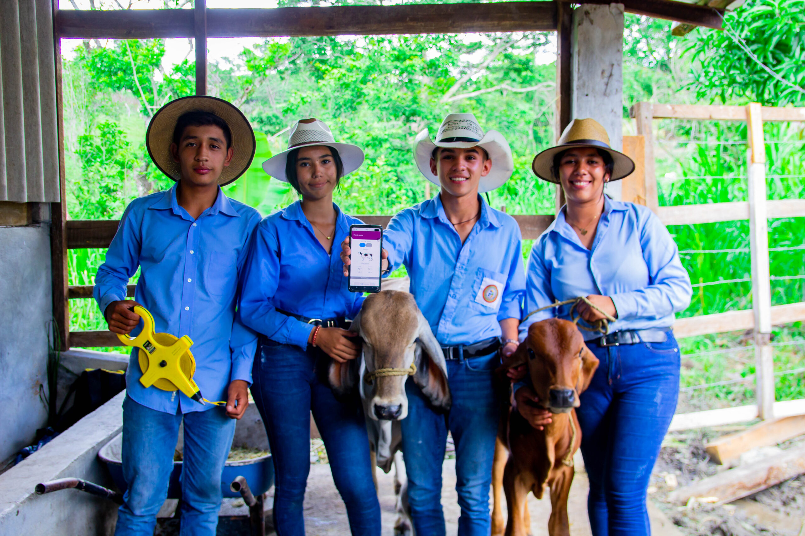 Imagen del año 2020